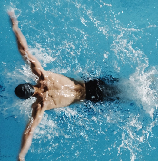 project_overview_img